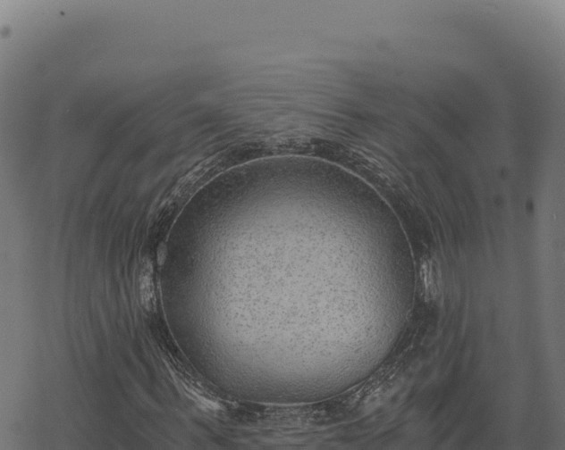 X0000068830963200605121337