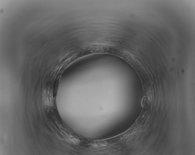 X0000068830964200605121337