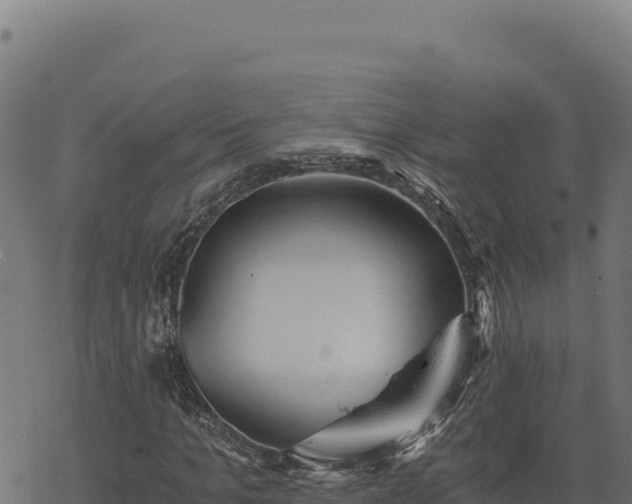 X0000068830965200605121337