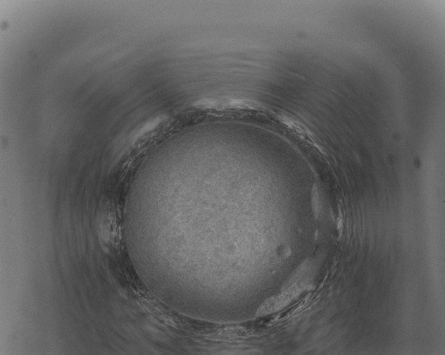 X0000068830966200605121337