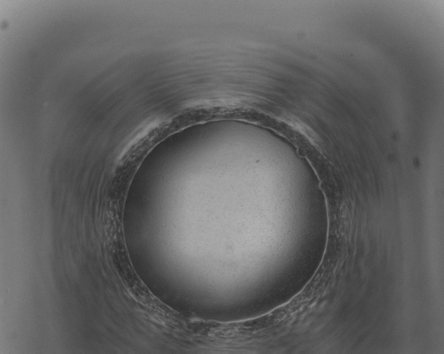 X0000068830967200605121337