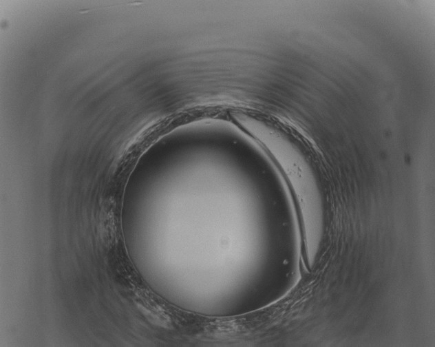 X0000068830968200605121337