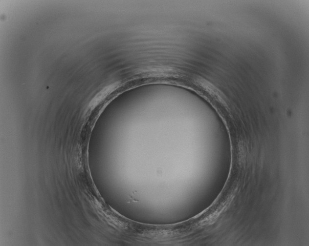 X0000068830970200605121337