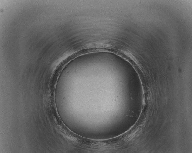 X0000068830971200605121337