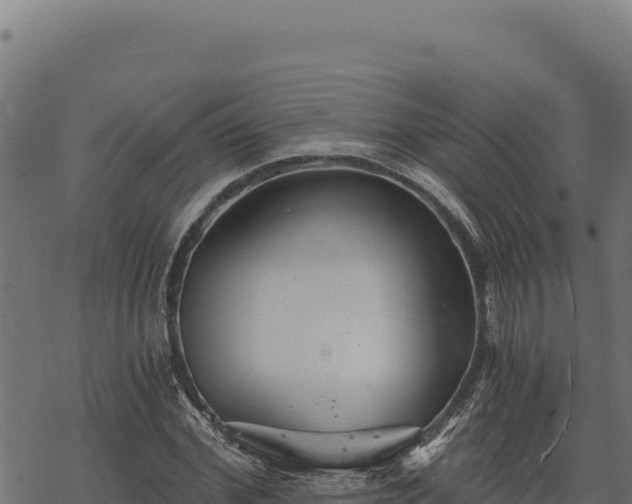 X0000068830972200605121337