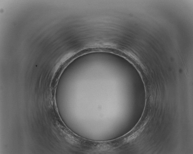 X0000068830974200605121337