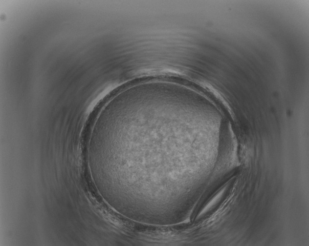 X0000068830975200605121337