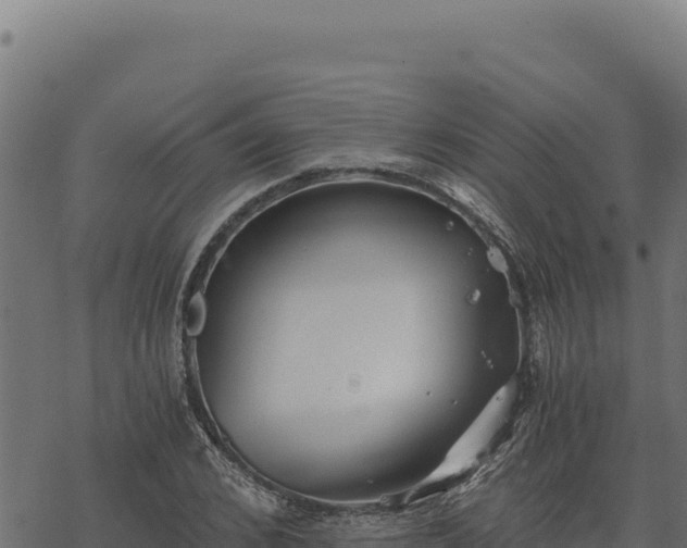 X0000068830976200605121337