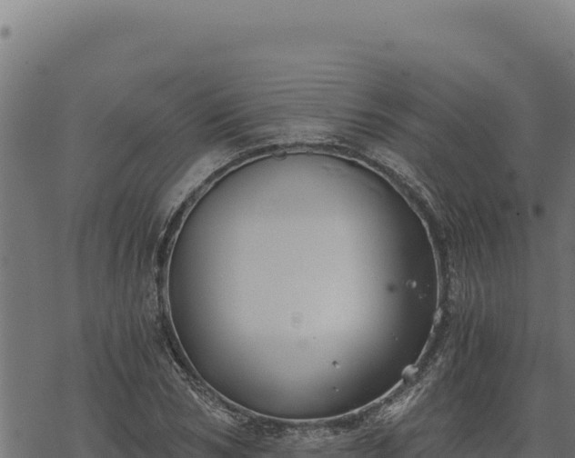 X0000068830978200605121337