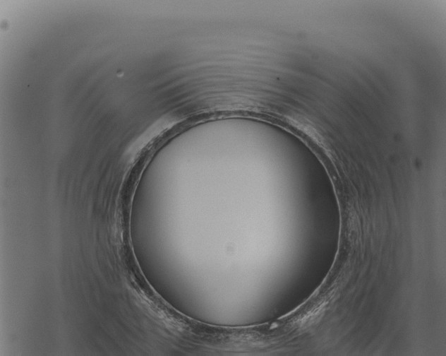 X0000068830979200605121337