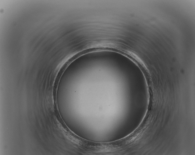 X0000068830980200605121337