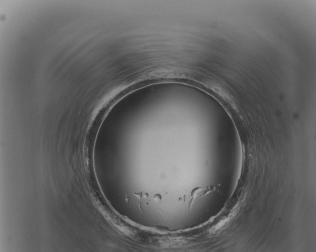 X0000068830981200605121337