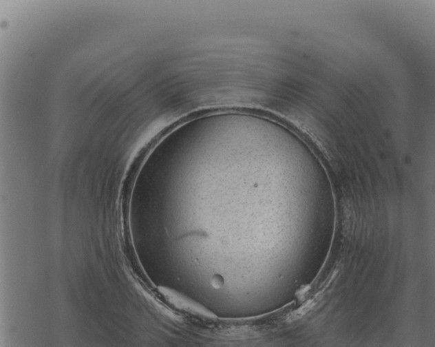 X0000068830982200605121337