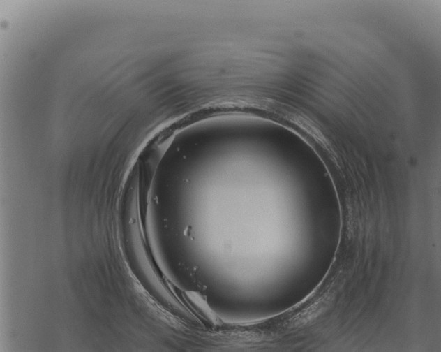 X0000068830984200605121337