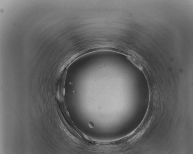 X0000068830985200605121337