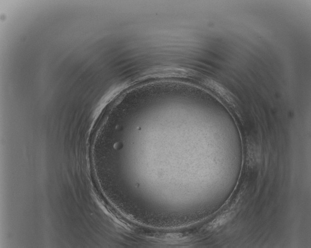 X0000068830986200605121337