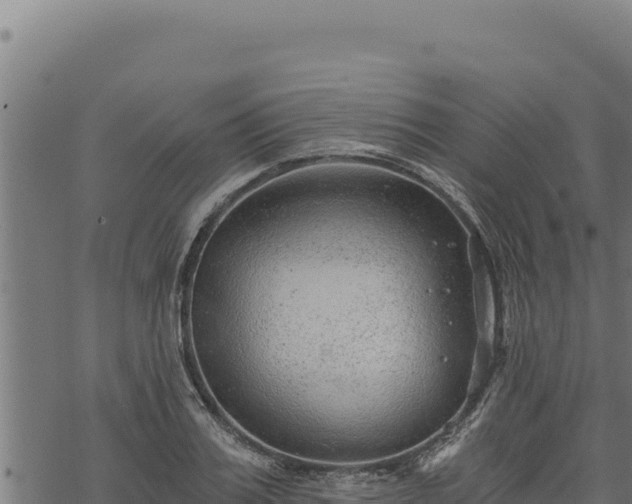 X0000068830987200605121337