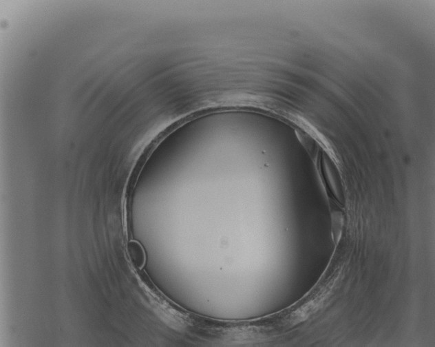 X0000068830988200605121337