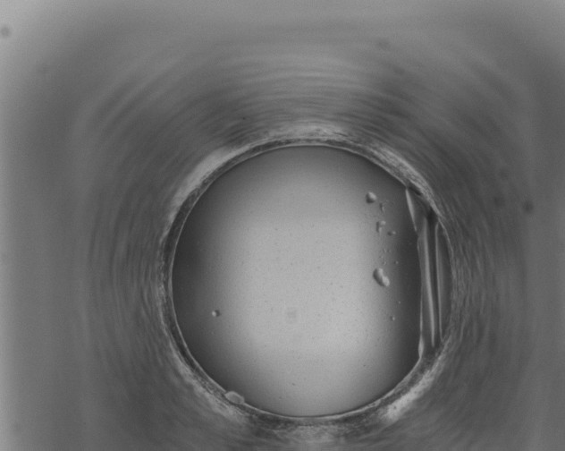 X0000068830989200605121337