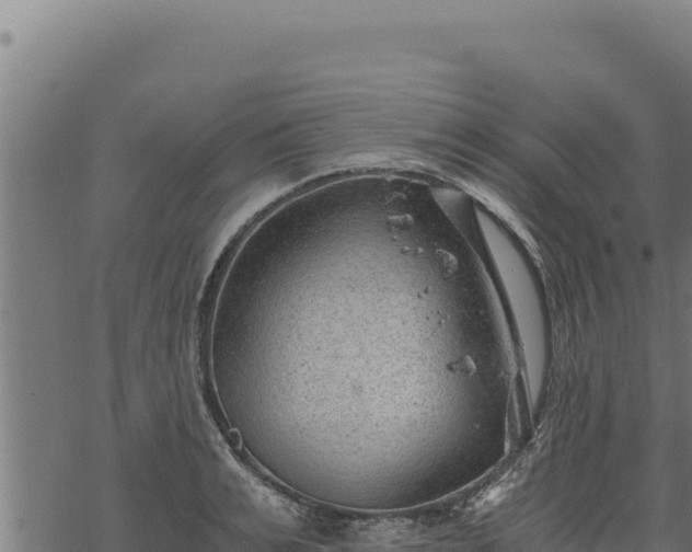 X0000068830991200605121337