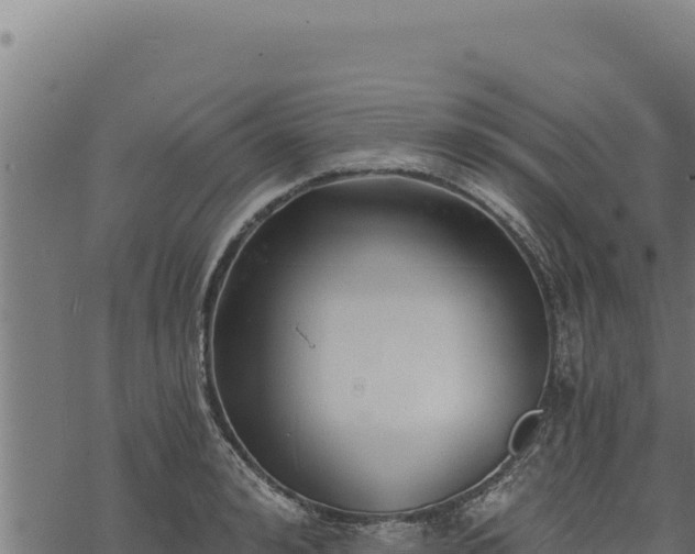 X0000068830992200605121336