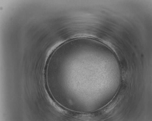 X0000068830995200605121336