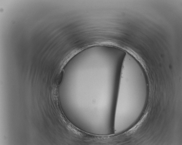 X0000068831001200605121336