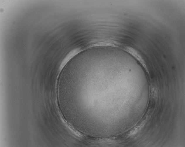 X0000068831002200605121336