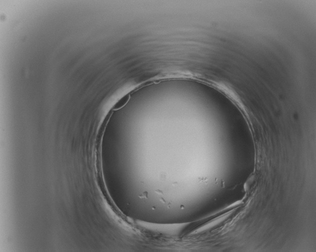 X0000068831003200605121336