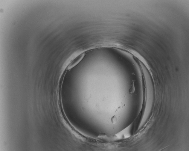 X0000068831005200605121336