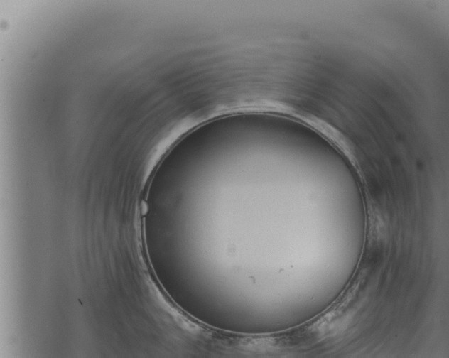 X0000068831006200605121336