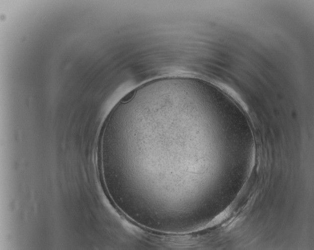 X0000068831007200605121336