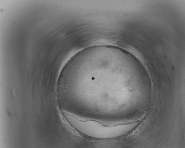 X0000068831008200605121336