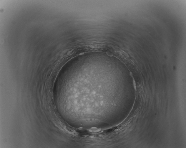 X0000068831009200605121335