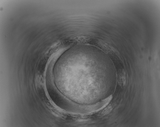 X0000068831010200605121335