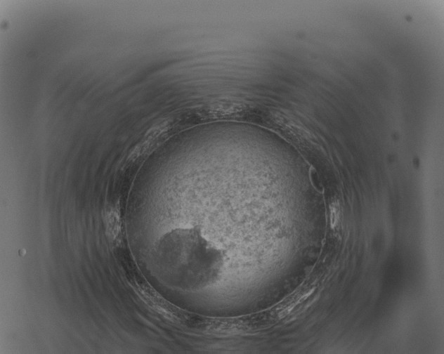 X0000068831011200605121335