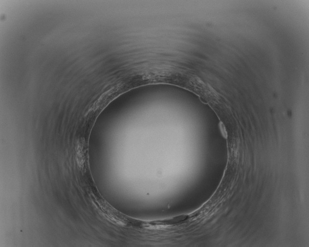 X0000068831012200605121335