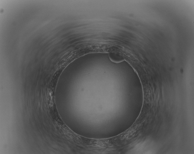 X0000068831013200605121335