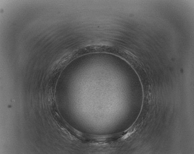 X0000068831014200605121335