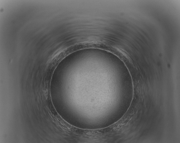 X0000068831015200605121335