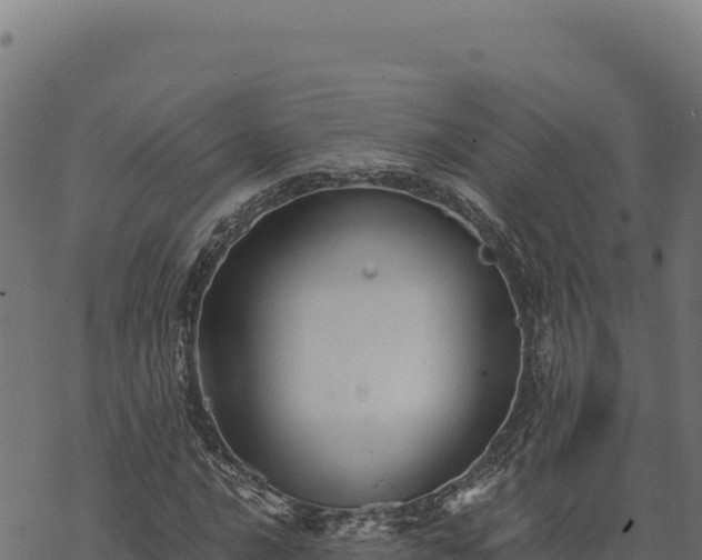 X0000068831016200605121335