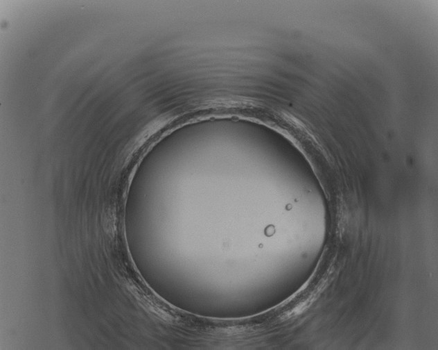 X0000068831017200605121336