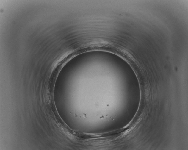 X0000068831018200605121336