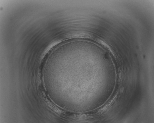 X0000068831019200605121336