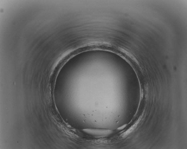 X0000068831021200605121336