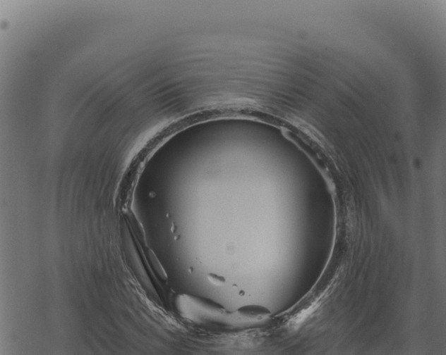 X0000068831022200605121336