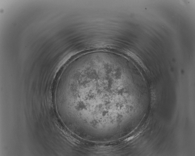 X0000068831023200605121336