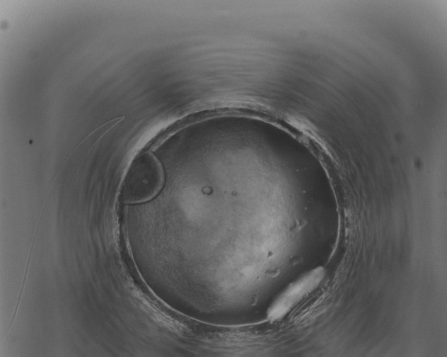 X0000068831024200605121336