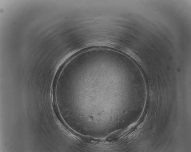 X0000068831028200605121336