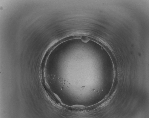 X0000068831029200605121336